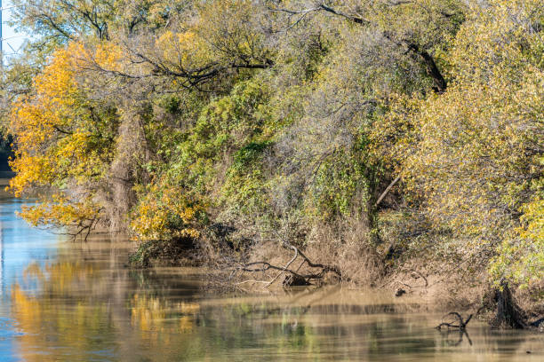 istock Fall foliage color reflection along river in Dallas, North Texas, America 1063965392
