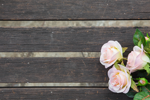 Beautiful pink roses on the old wooden table background