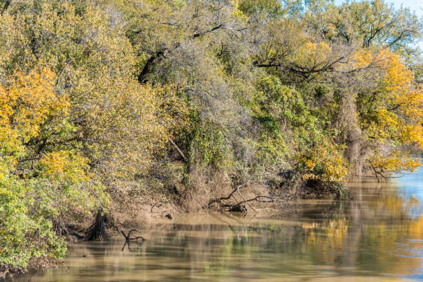istock Fall foliage color reflection along river in Dallas, North Texas, America 1063965510
