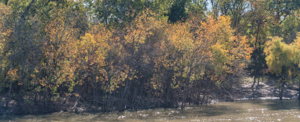istock Panoramic view fall foliage color along river in Dallas, Texas, USA 1063967928
