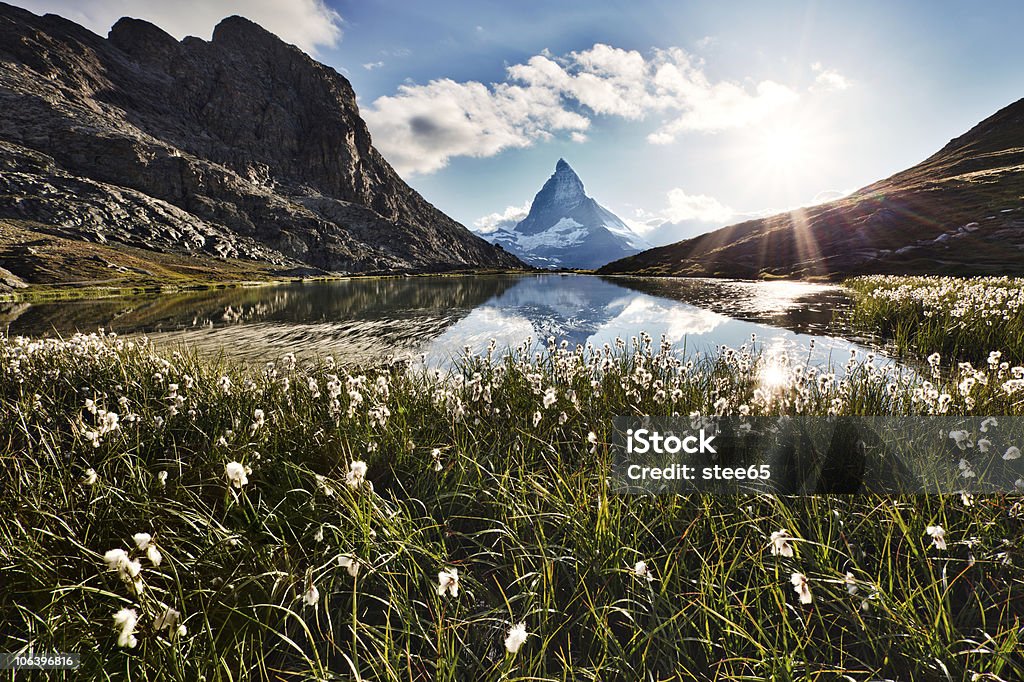 Matterhorn y flores - Foto de stock de Matterhorn libre de derechos