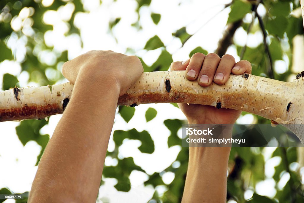 Subir un árbol de manos - Foto de stock de Niño libre de derechos