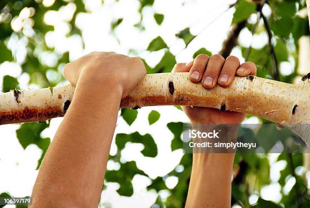 木登り手 - 子供のストックフォトや画像を多数ご用意 - 子供, 樹木, 人間の手