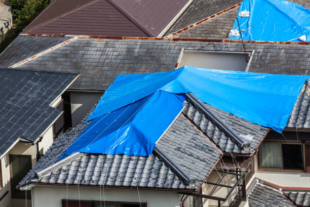 huizen met blauw vel - tyfoon stockfoto's en -beelden
