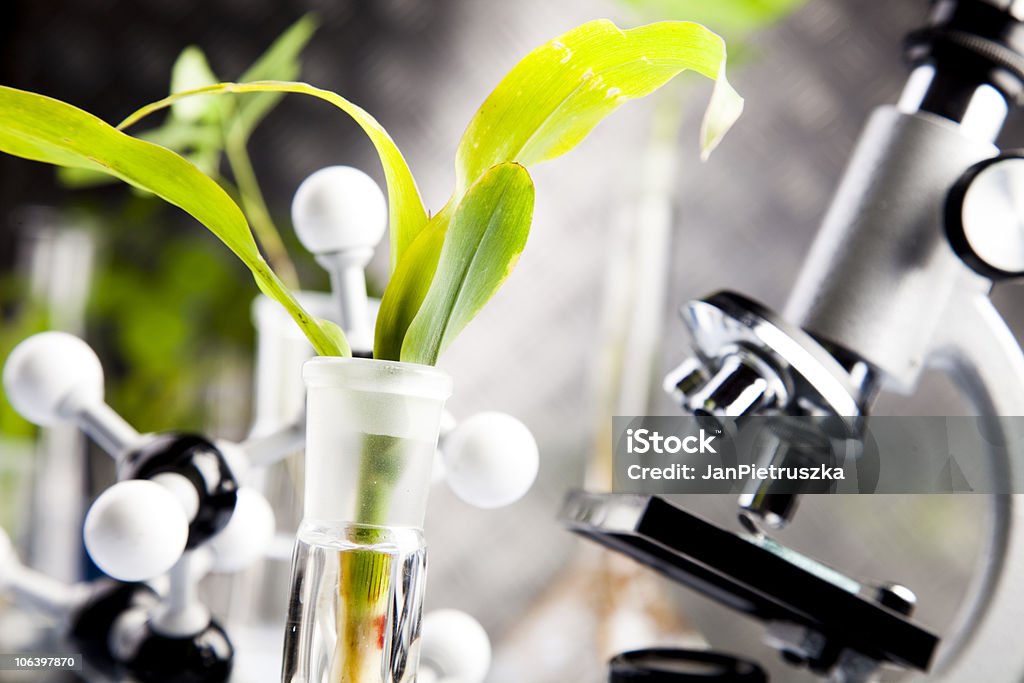 Análisis de laboratorio - Foto de stock de Biología libre de derechos