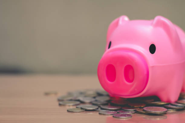 istock Save money in pig pink for future use, Concept saving money for the future. 1063985348