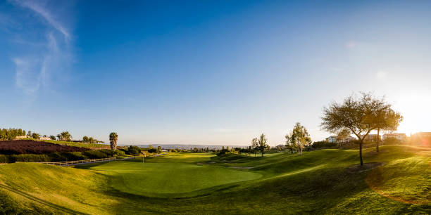 A male caddy stands on a picturesque golf course with a golf bag full of clubs, enjoying a sunny day outdoors.