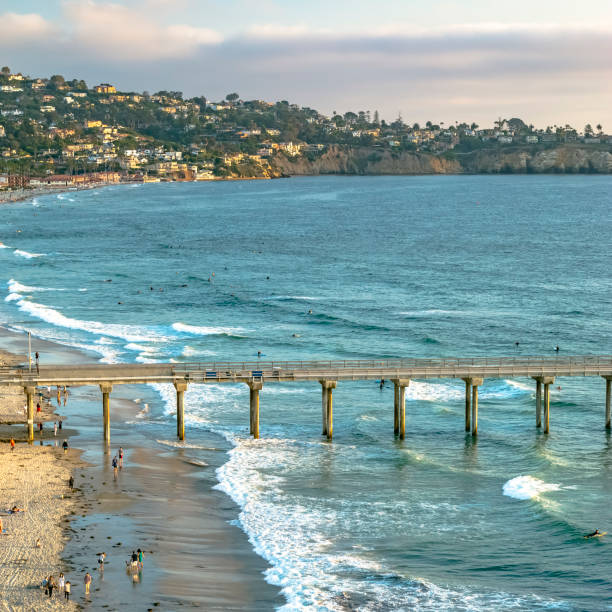 istock Scripps Pier and coastal homes in San Diego CA 1064003100