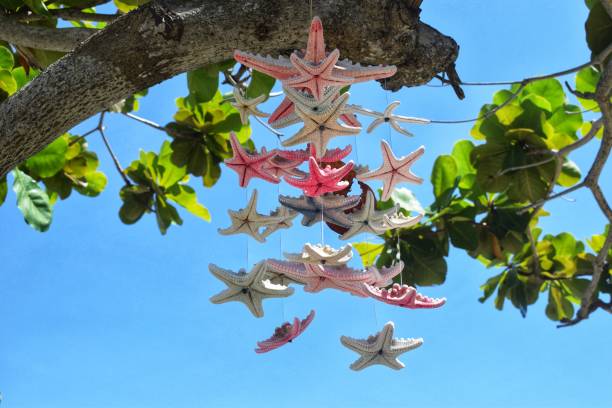 istock Tingo Sta. Rosa Lapu-lapu City 1064007298