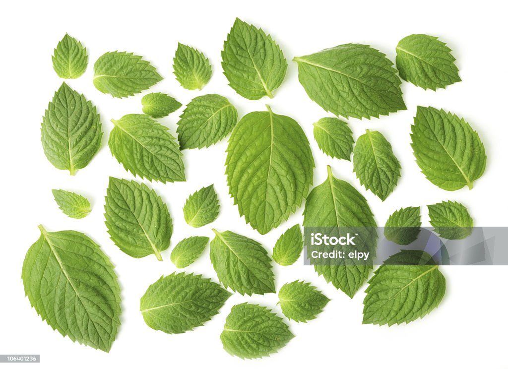 as isolated, macro Mint Leaf - Culinary Stock Photo