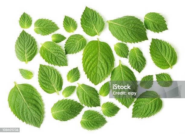 As Stock Photo - Download Image Now - Mint Leaf - Culinary, Cut Out, Leaf