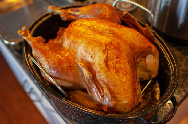 Juicy Christmas or Thanksgiving Turkey in Roasting Pan