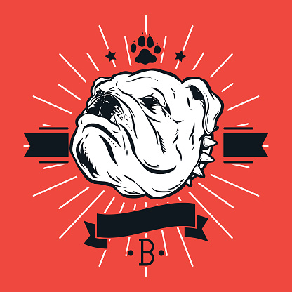 Bulldog T-Shirt Design on Red