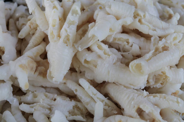 istock Foot of chicken and bone for cooking. 1064019986