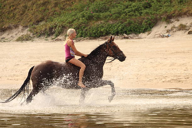 Young woman enjoying a calm ride on a horse in an outdoor equestrian facility