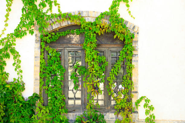 Windows of ancient Chinese architecture, close-up