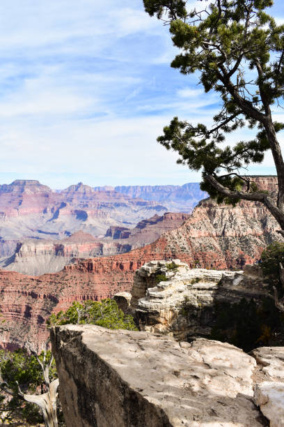 istock Hiking and exploring in the Nevada and Arizona desert 1064030784