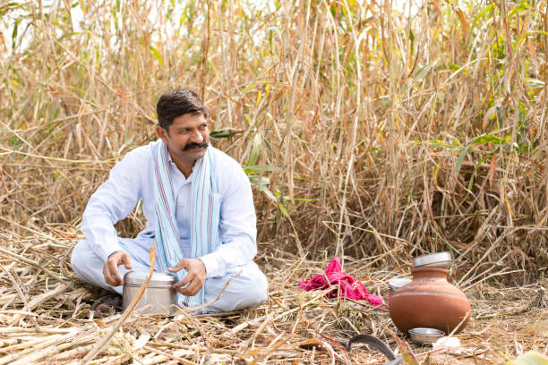 istock Farmer having lunch break on agricultural field 1064032840