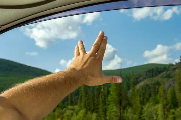 The man's arm, covered with hair, is open, showing the sign of startrek by the fingers spread 
background the blue sky with white clouds and green coniferous tree