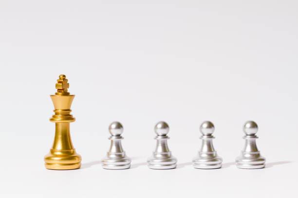 istock The surrounded king, the confrontation and competition between the pieces 1064033490