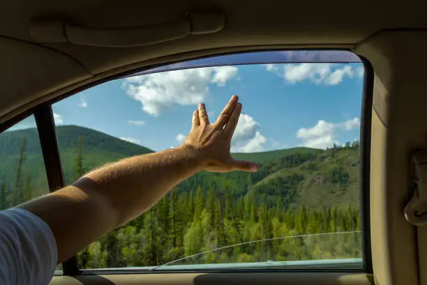 The man's arm, covered with hair, is open, showing the sign of startrek by the fingers spread 
background the blue sky with white clouds and green coniferous tree