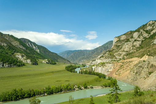 Aerial view to landscape of green valley and river flooded with light with lush green grass,  covered with hills, a fresh summer day under a blue sky with white clouds and sun rays in Altai mountains