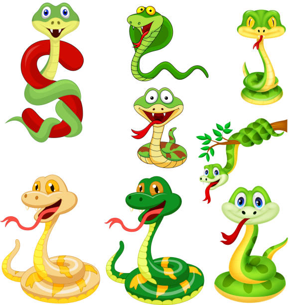 cartoon-schlange-sammlung-satz - cobra snake aggression king cobra stock-grafiken, -clipart, -cartoons und -symbole