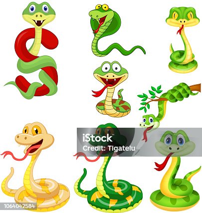 932 Pit Viper Snake Cartoon Illustrations & Clip Art - iStock