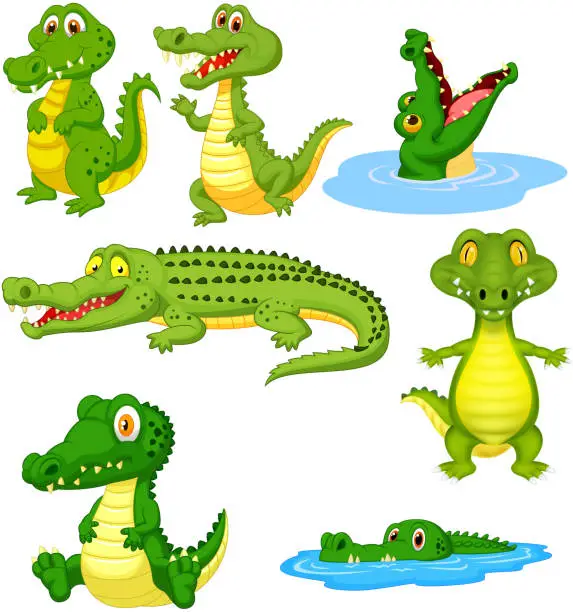 Vector illustration of Cartoon green crocodile collection set