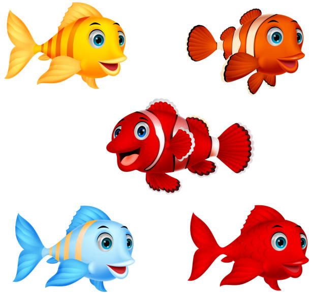 ilustrações, clipart, desenhos animados e ícones de conjunto de coleta de peixes dos desenhos animados - tropical fish clown fish isolated animal