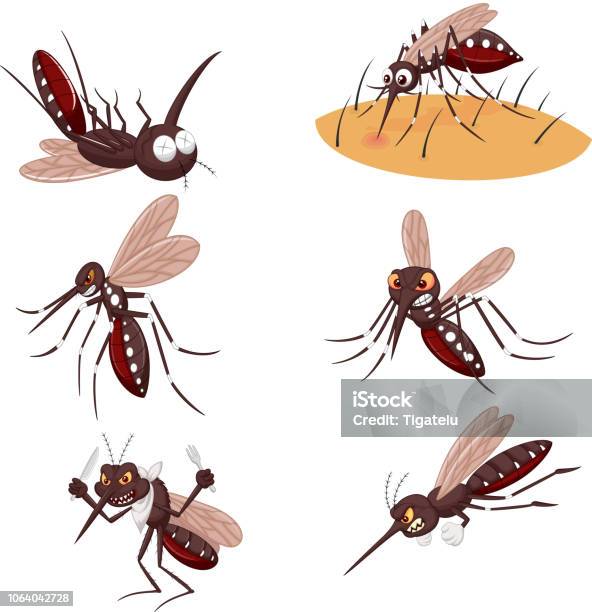 Cartoon Mosquito Collection Set Stock Illustration - Download Image Now -  Mosquito, Dead, Fly - Insect - iStock
