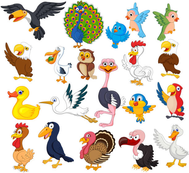 ilustrações de stock, clip art, desenhos animados e ícones de cartoon bird collection set - happy bird
