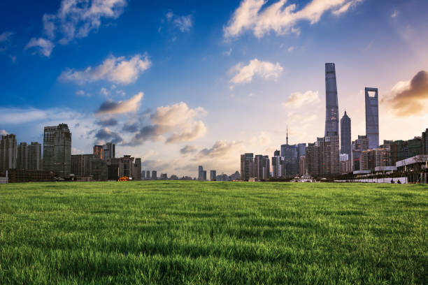 istock shanghai skyline and huangpu river at dusk 1064048916