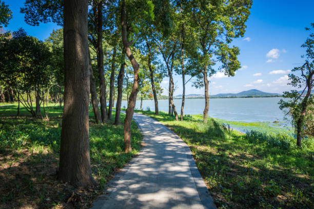 istock Road in the woods 1064049730