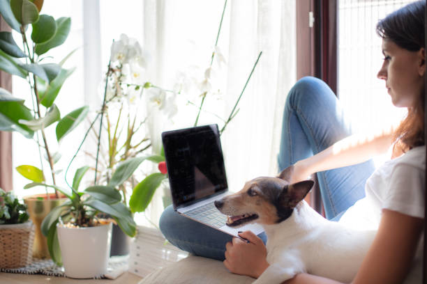 istock Attractive young woman working on a window seat 1064049974