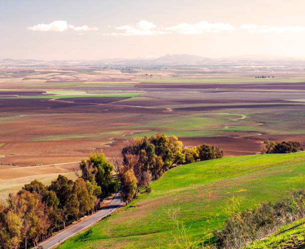 campos de carmona - carmona - fotografias e filmes do acervo