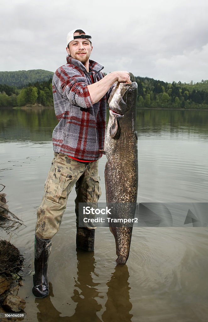 Poisson-chat; - Photo de Poisson libre de droits