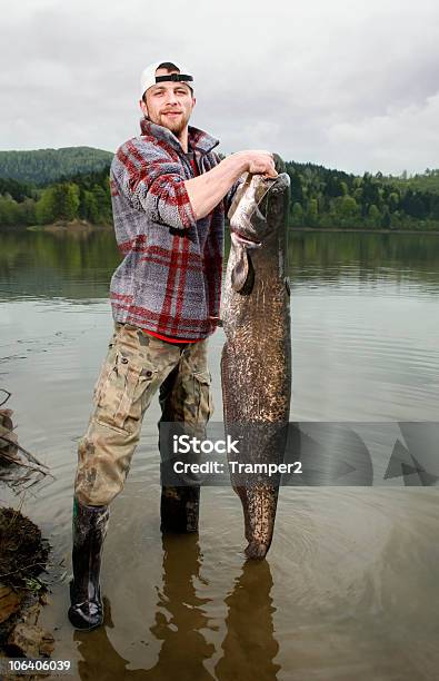 Photo libre de droit de Poissonchat banque d'images et plus d'images libres de droit de Poisson - Poisson, Attraper, De grande taille