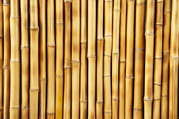 Close-up of several bamboo sticks in a row