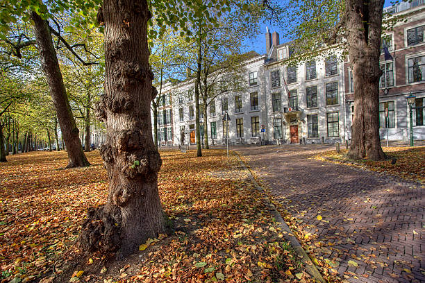 istock Autumn in The Hague 106406216