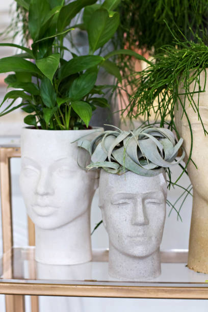 istock Pot-face, pot-head with houseplants. 1064066182