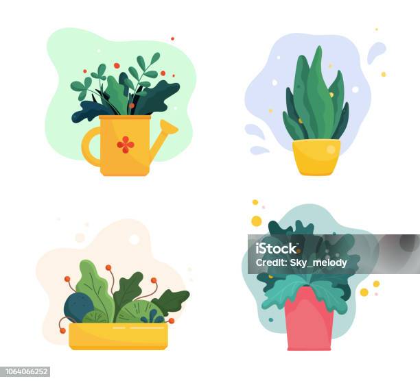 Set Of Abstract Lush Plants In Flowerpots And Watering Can Assorted Leaves Flowers And Berries Domestic Gardening Illustration In Modern Simple Flat Art Style Vector Illustration Isolated On White Stock Illustration - Download Image Now