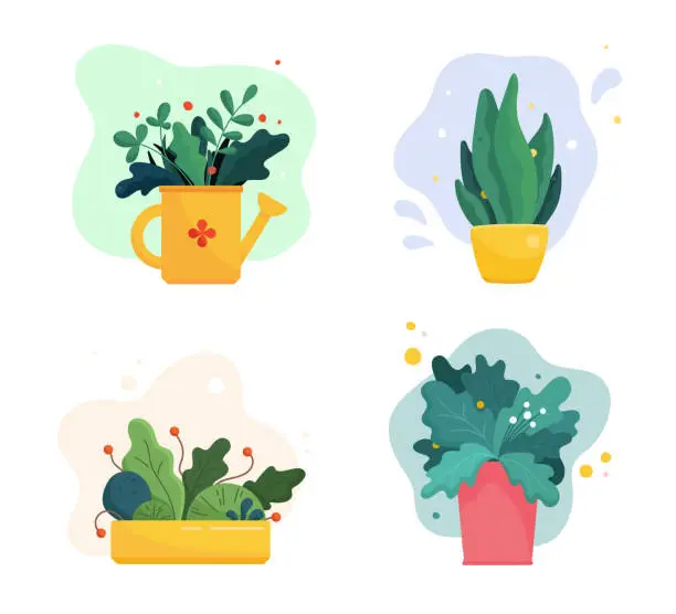 Vector illustration of Set of abstract lush plants in flowerpots and watering can. Assorted leaves, flowers and berries. Domestic gardening illustration in modern simple flat art style. Vector illustration isolated on white