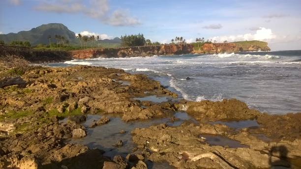 прибрежная тропа махаулепу - mahaulepu beach стоковые фото и изображения