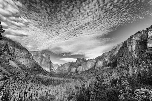 Black and white from Tunnel View