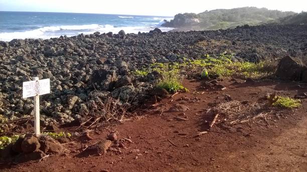 istock Mahaulepu sacred sanctuary archaeological site 1064071946