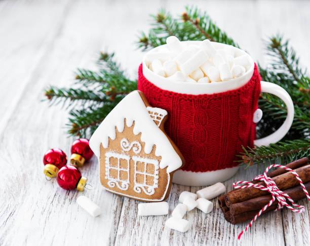 istock hot chocolate with marshmallows and gingerbread cookie 1064072308