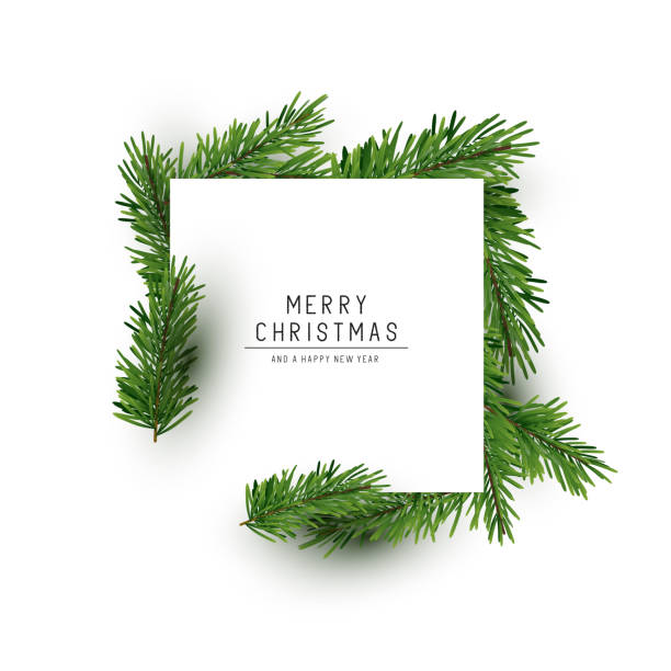 Christmas Square Background Layout A christmas square shaped layout background with fir branches. Vector illustration model object illustrations stock illustrations