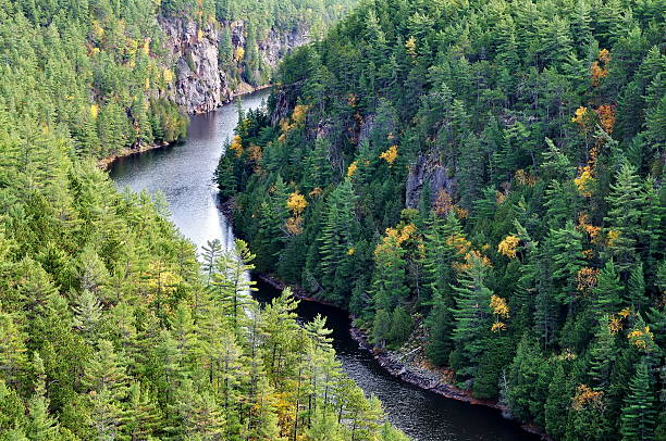 A canoe next to a fishing lake in La Mauricie National park during a cloudy morning of summer in Quebec.