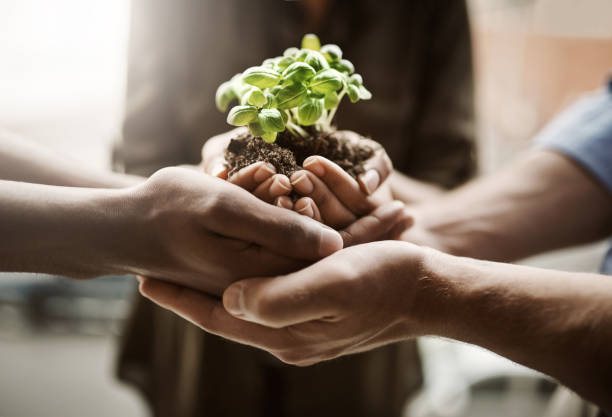 istock We all should take care of nature 1064079300